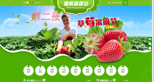 农业园林绿色水果蔬菜类企业网站模板(织梦带手