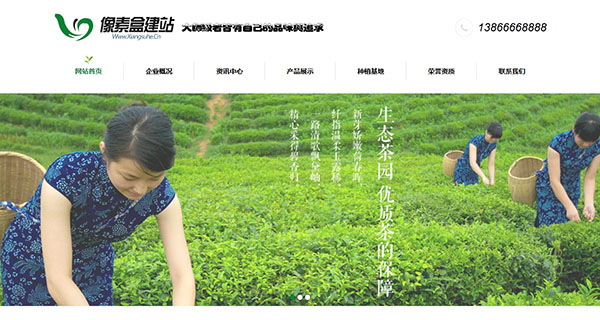 绿色茶叶企业网站模板(织梦带手机数据同步)
