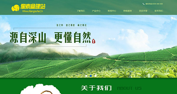 农产品茶树种植类企业网站模板（织梦带手机数据同步）